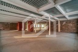 Копия DSC04471-Enhanced-NR.jpg