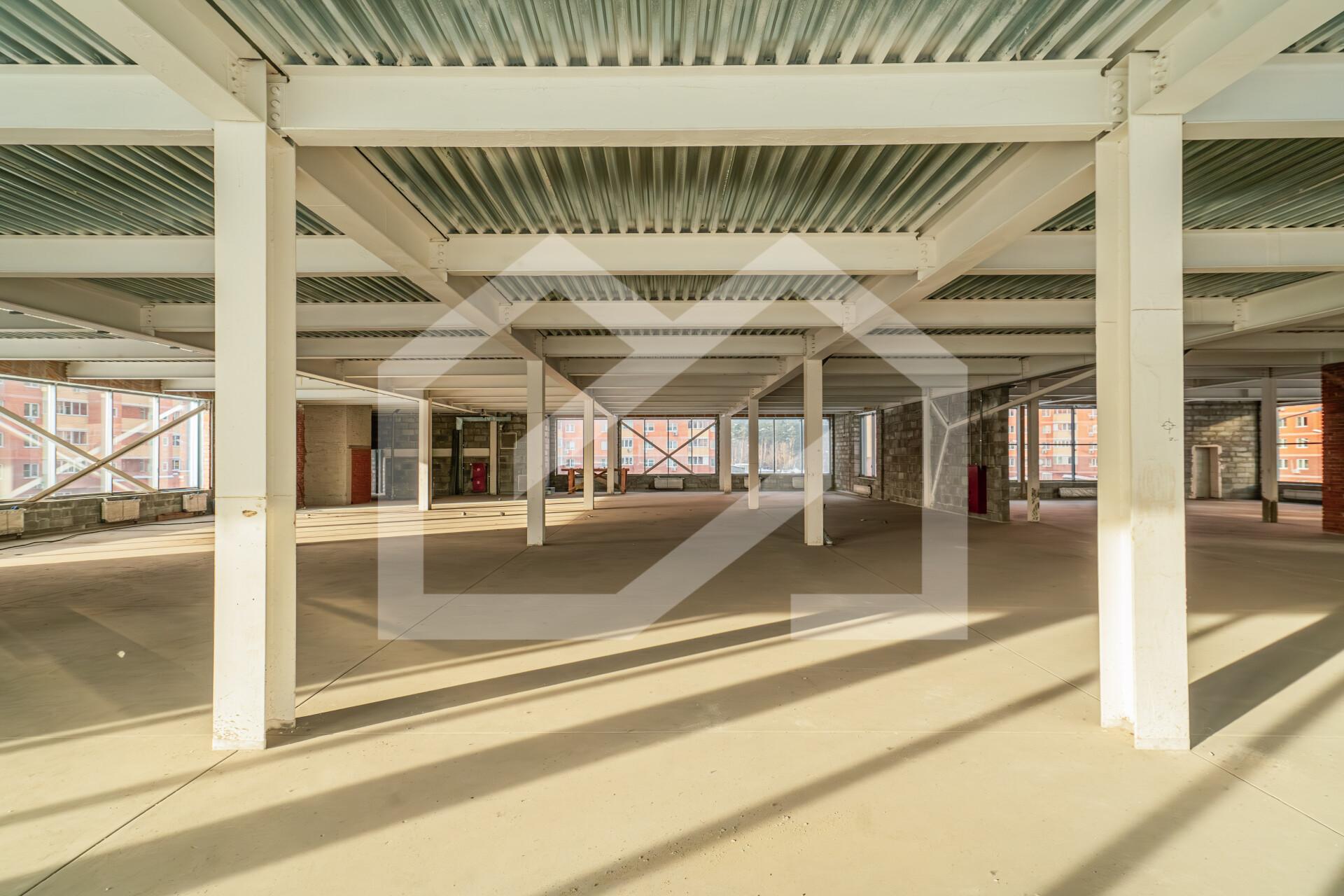 Копия DSC04448-Enhanced-NR.jpg