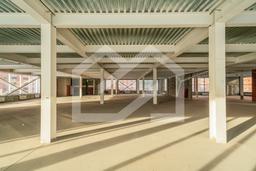 Копия DSC04448-Enhanced-NR.jpg