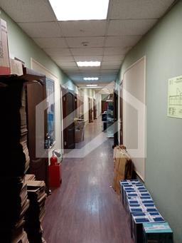 WhatsApp Image 2025-09-04 at 11.29.37.jpeg