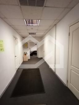 WhatsApp Image 2025-09-04 at 11.29.41.jpeg