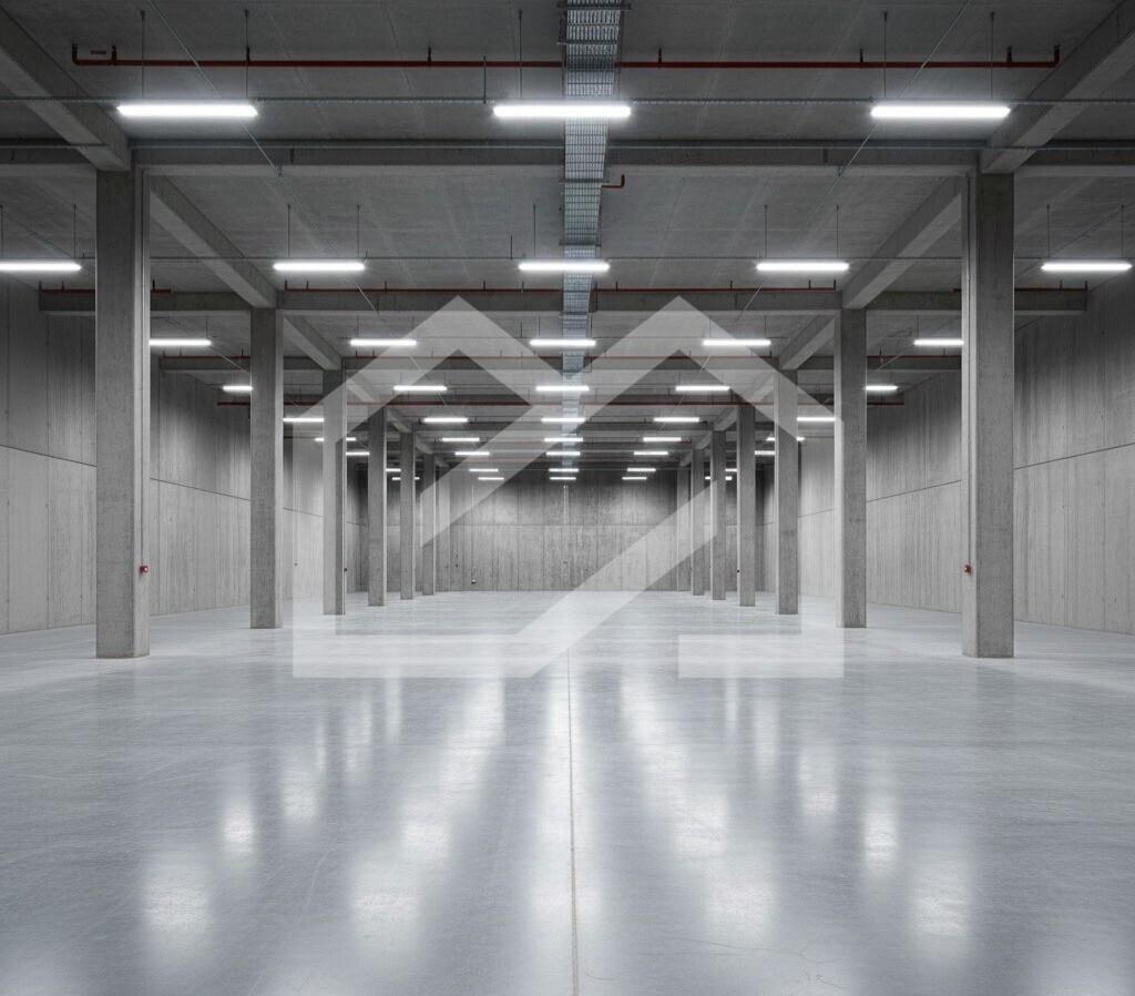 WhatsApp Image 2025-12-03 at 11.00.03.jpeg