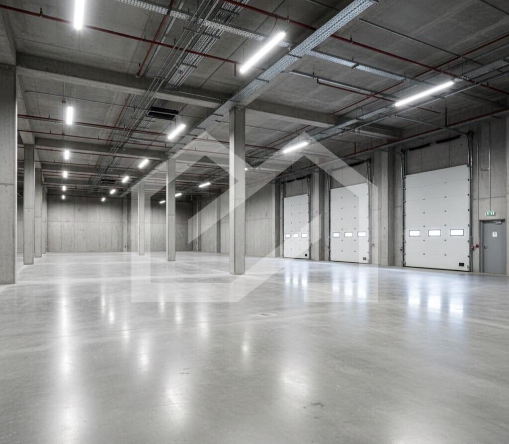 WhatsApp Image 2025-12-03 at 10.59.56.jpeg