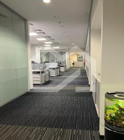 Снимок экрана 2025-12-11 160522.png