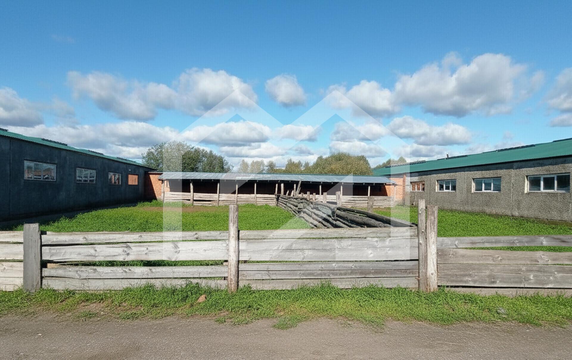 5f0d9308ac830acdca37b446f72de771 (1).jpg