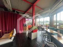 photo_2025-12-19 13.50.56.jpeg