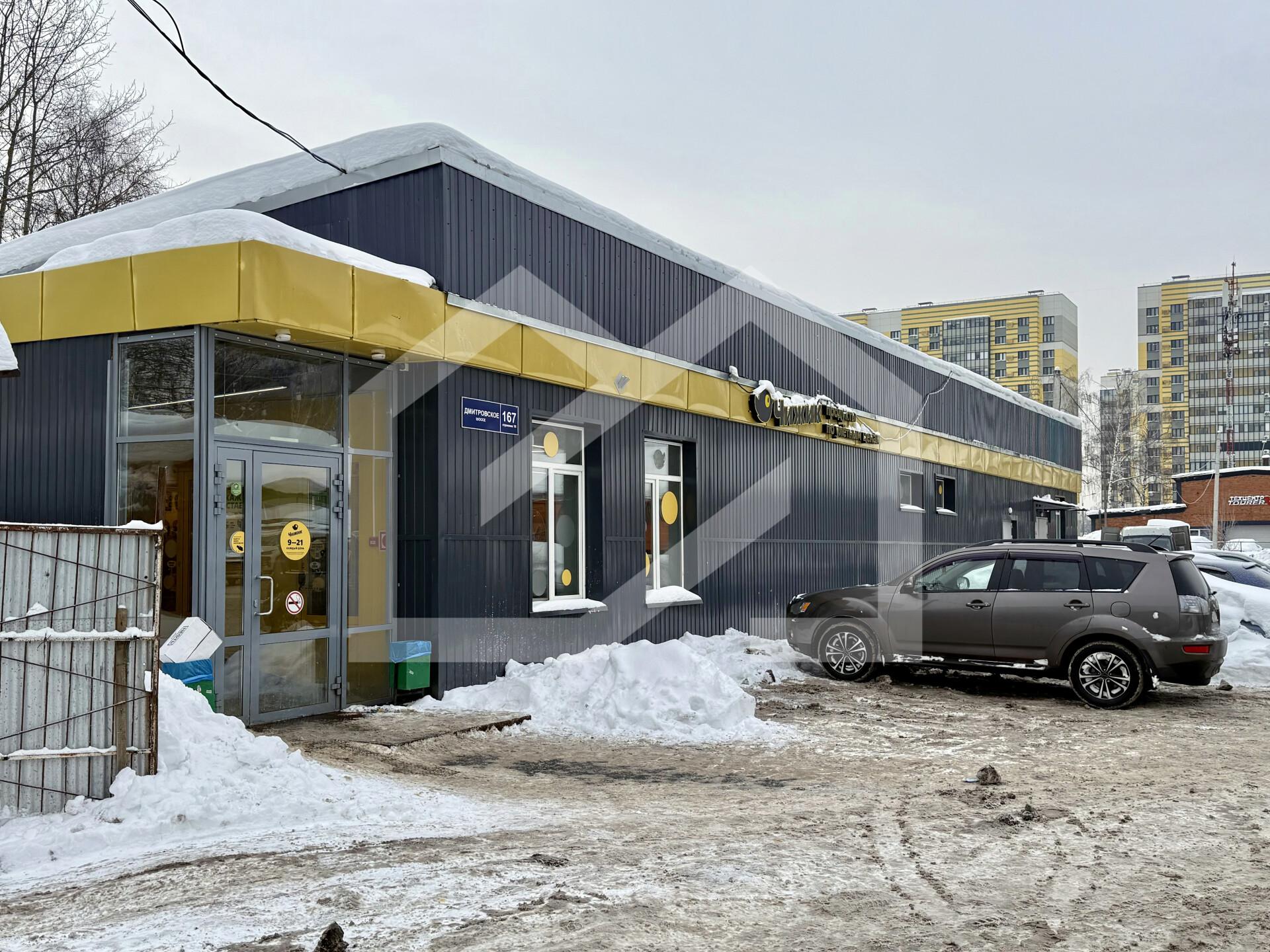 Копия IMG_8079.jpeg