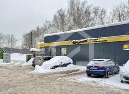 Копия IMG_8074.jpeg