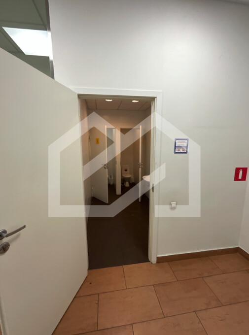 Снимок экрана 2026-02-10 в 12.02.47.png