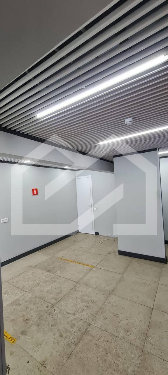 photo_2026-02-18 16.20.09.jpeg