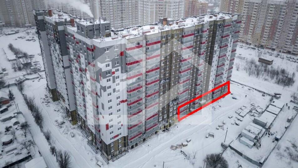 Снимок экрана 2026-02-24 091037.png