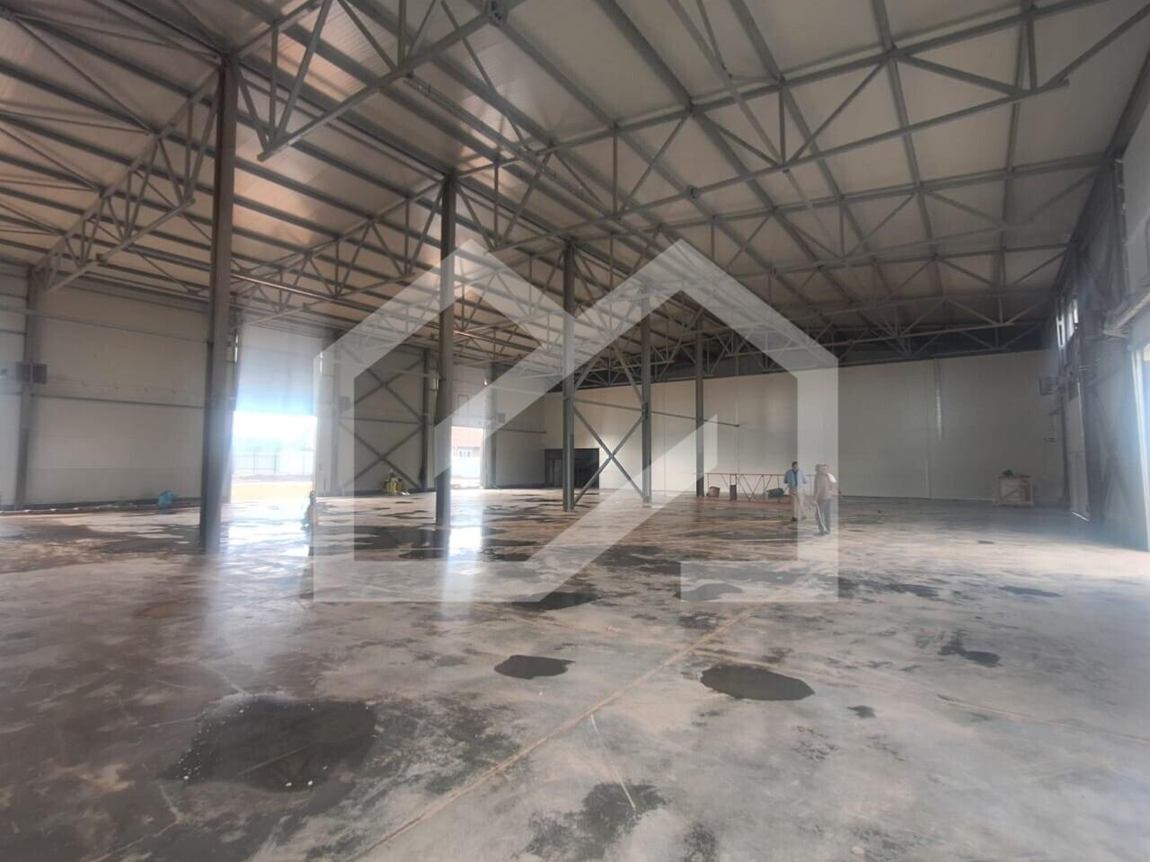 WhatsApp Image 2025-09-03 at 16.49.52.jpeg