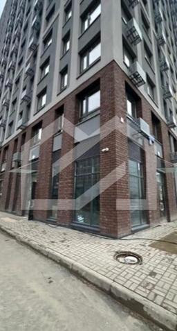 IMAGE 2026-03-06 18:14:40.jpg