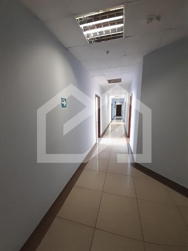 0d213ca9-884e-4c55-a678-3d63690ff0d6.jfif