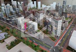 photo_5316867628246702201_y (1) (1).jpg