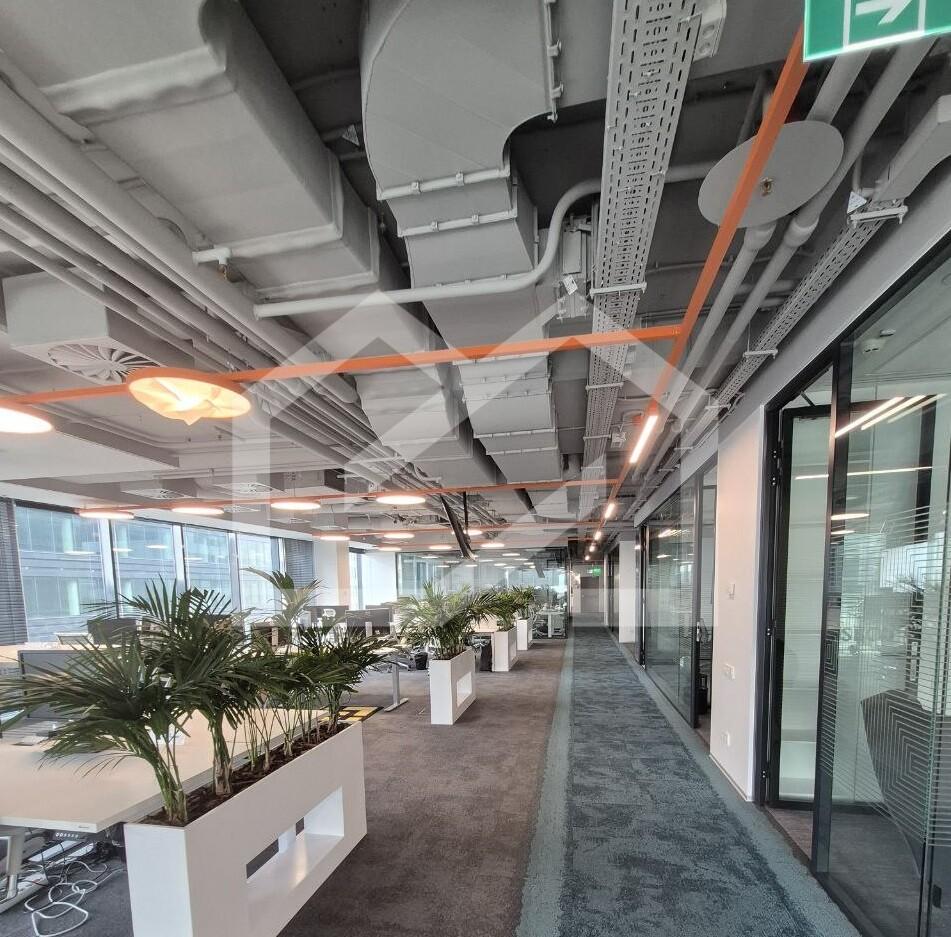 Вакансия 1522 м2_Белые Сады_Страница_7_Изображение_0001.jpg