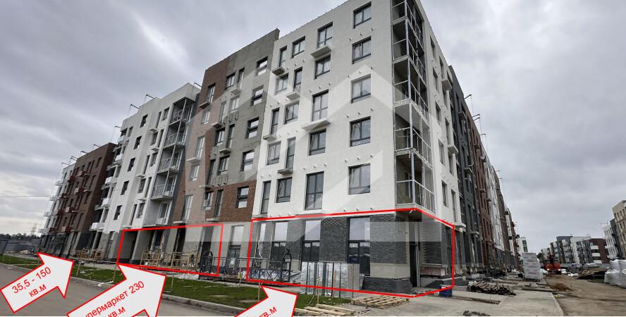 Снимок экрана 2024-10-14 143658.png