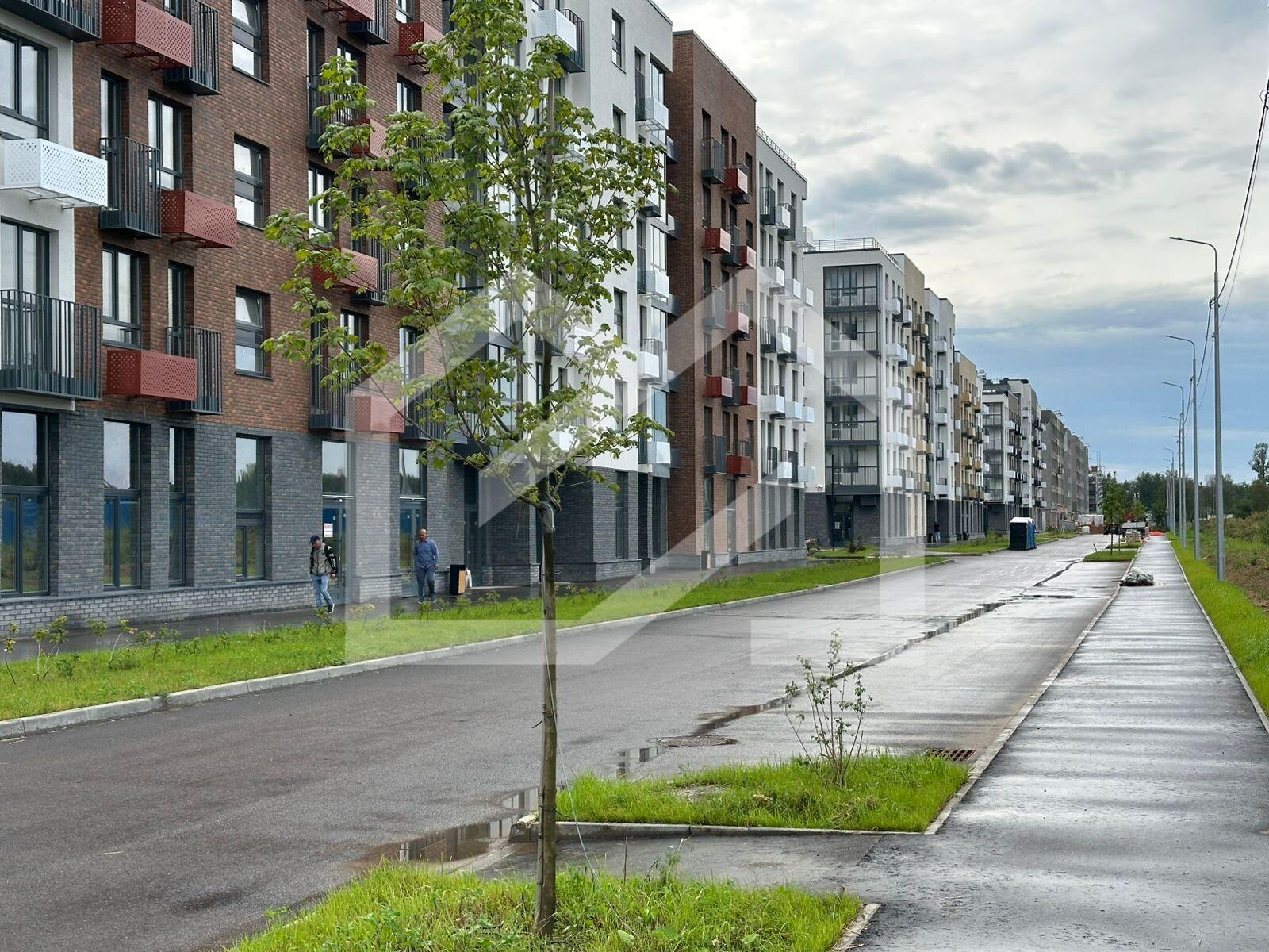 WhatsApp Image 2025-08-13 at 13.15.47 (4).jpeg