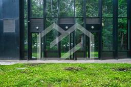 Копия BTW08473-Enhanced-NR.jpeg