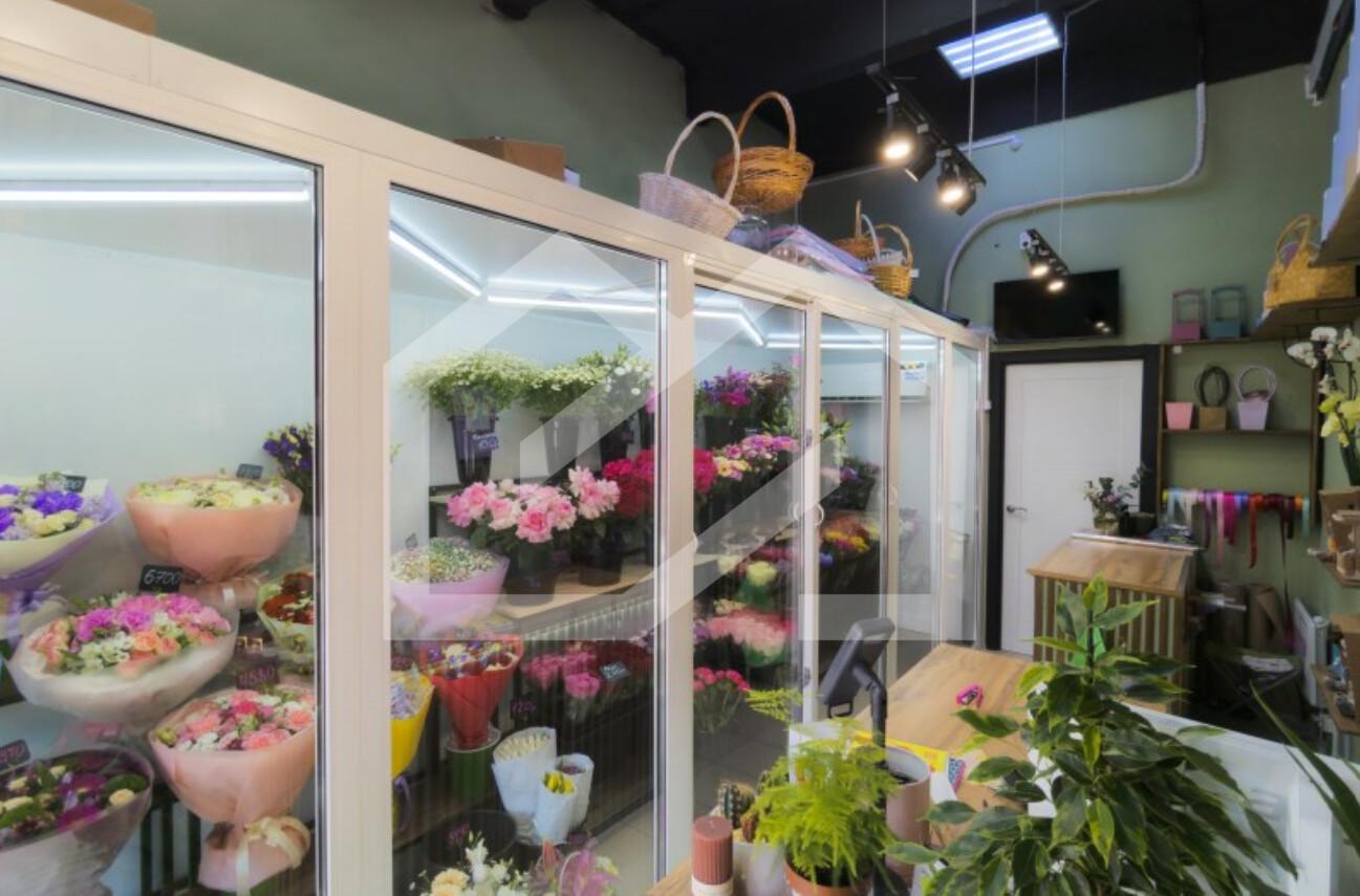 Снимок экрана 2025-05-27 152927.png