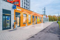 Копия DSC00549-Enhanced-NR.jpg