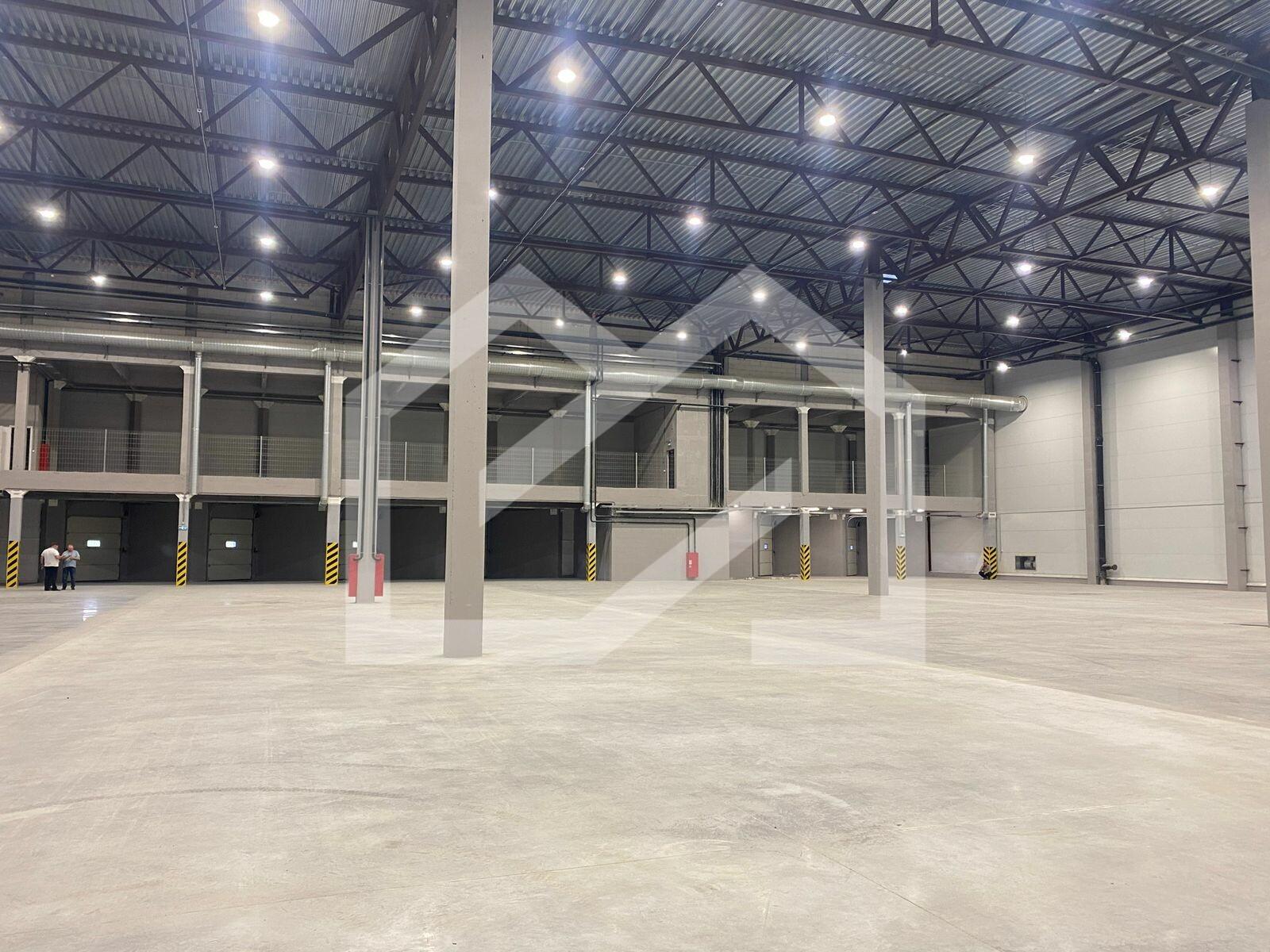 WhatsApp Image 2024-10-15 at 17.03.41.jpeg