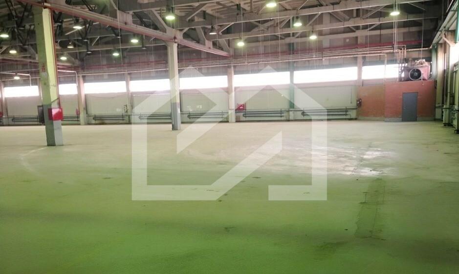 Изображение WhatsApp 2024-04-26 в 10.05.15_bd2adadf.jpg