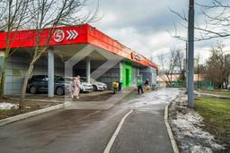 Копия BTW06175-Enhanced-NR.jpeg