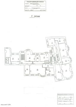 7 этаж пирог.png