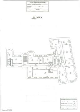 8 этаж пирог.png