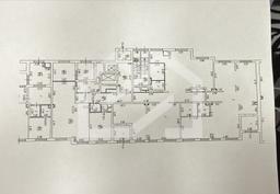 WhatsApp Image 2025-11-25 at 14.53.56.jpeg