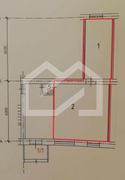 WhatsApp Image 2024-07-11 at 12.43.34 — копия.jpeg