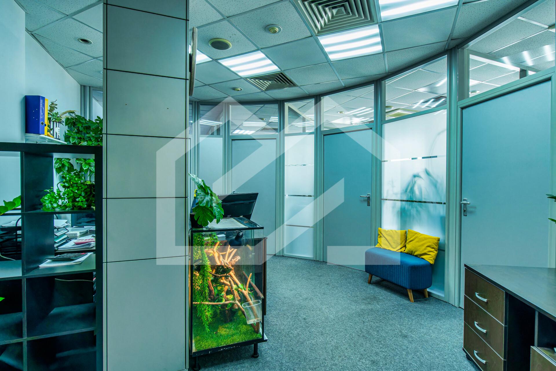 Копия DSC08887-ARW_DxO_DeepPRIMEXD.jpg