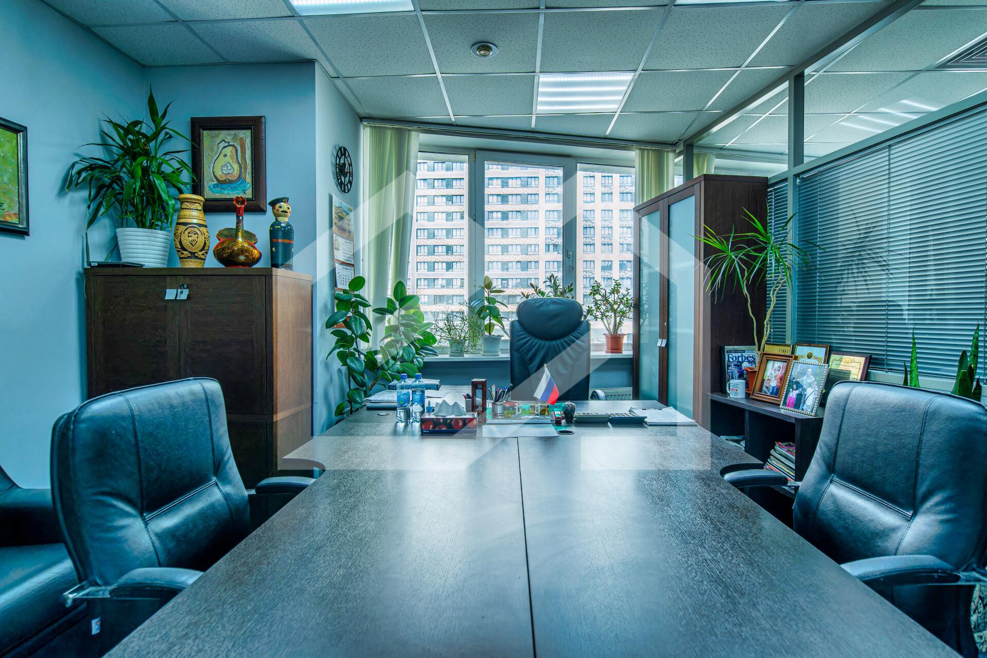 Копия DSC08851-ARW_DxO_DeepPRIMEXD.jpg