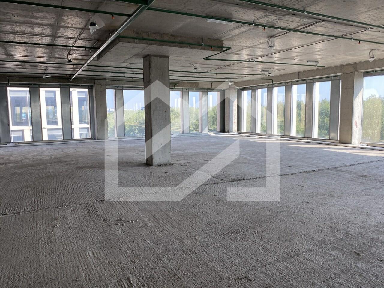 5382348033917837423 (1).jpg