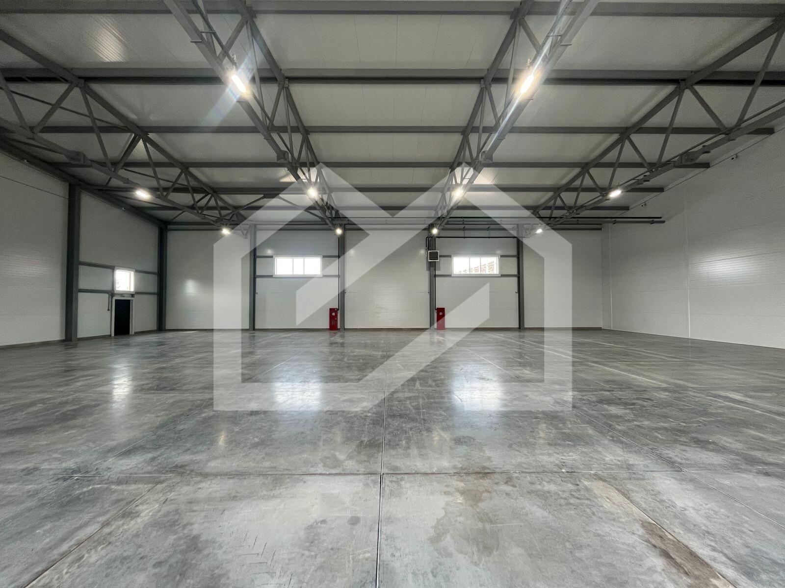 WhatsApp Image 2025-08-12 at 10.58.40 (3).jpeg