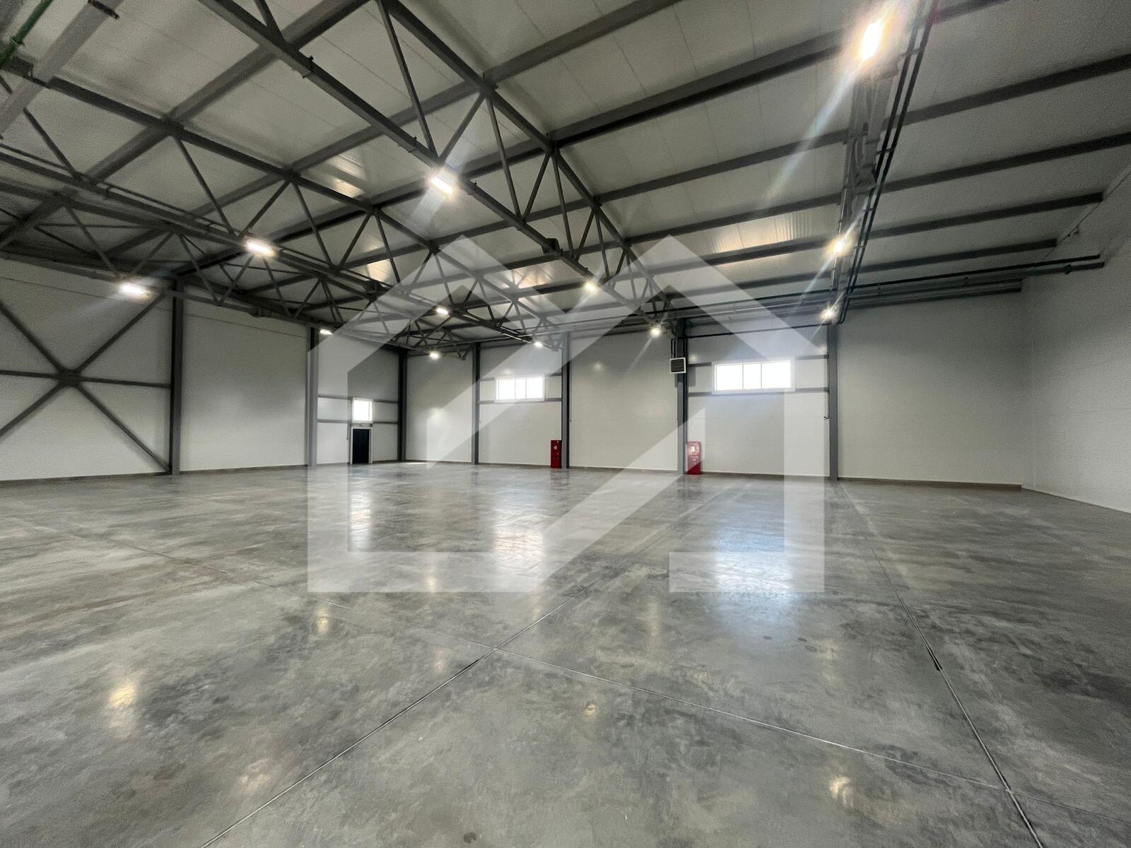 WhatsApp Image 2025-08-12 at 10.58.39 (1).jpeg