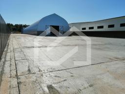 WhatsApp Image 2025-01-24 at 14.42.12 (2).jpeg