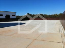 WhatsApp Image 2025-01-24 at 14.42.12 (4).jpeg