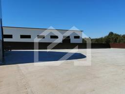 WhatsApp Image 2025-01-24 at 14.42.12 (3).jpeg