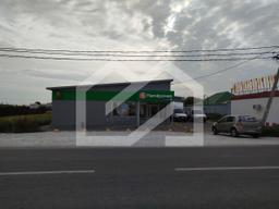 WhatsApp Image 2024-10-03 at 10.39.04.jpeg