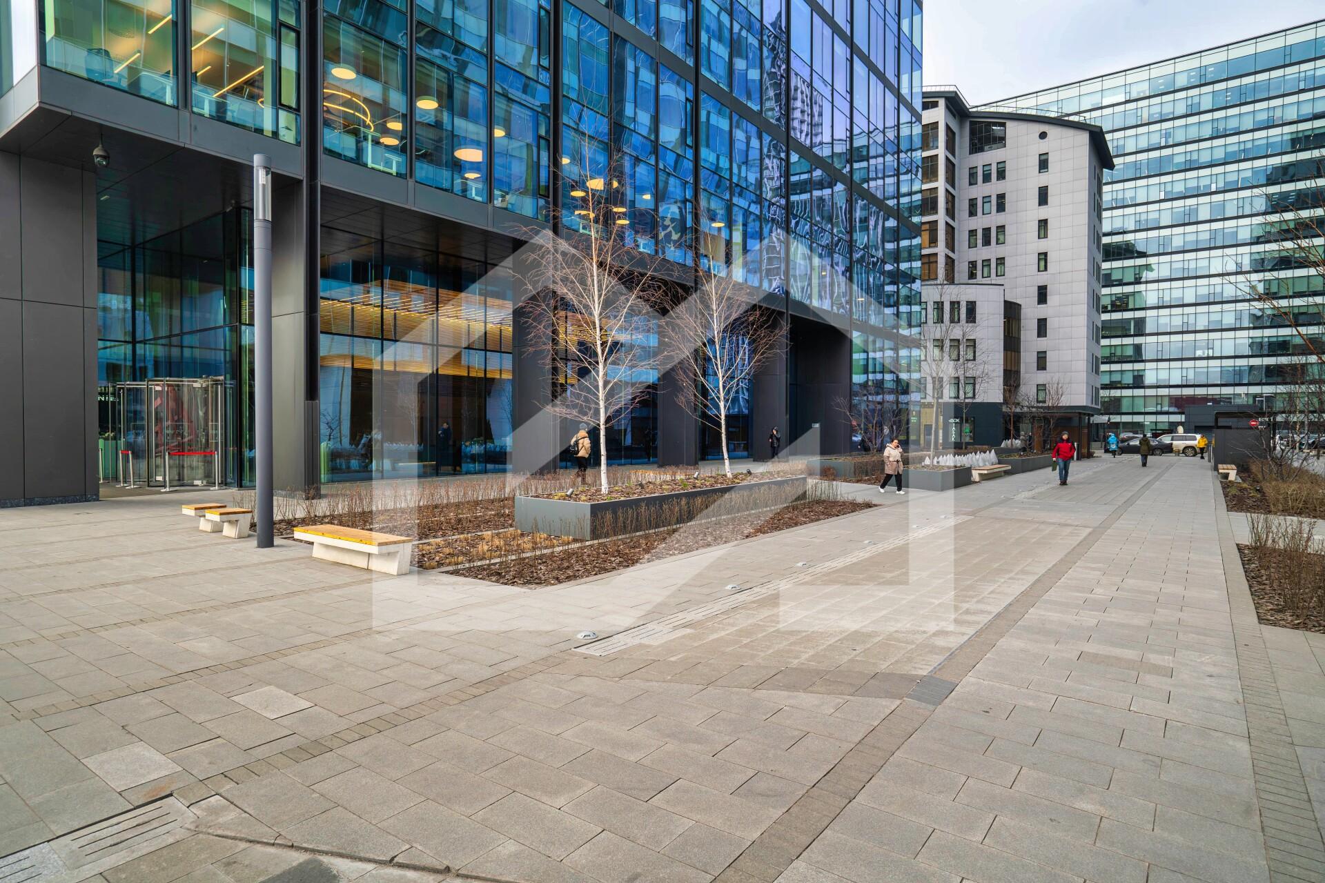 Копия BTW06577-Enhanced-NR.jpeg