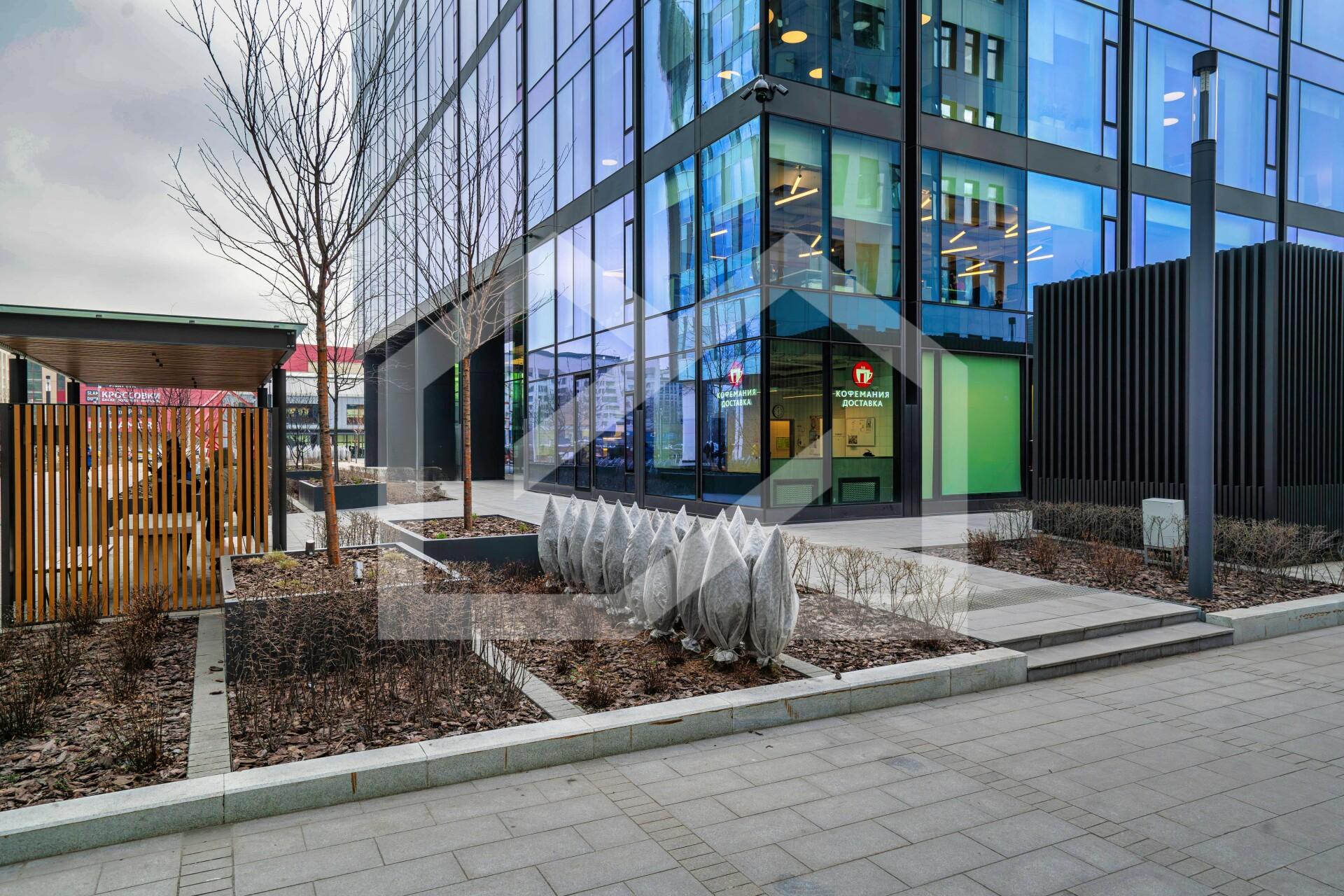 Копия BTW06583-Enhanced-NR.jpeg