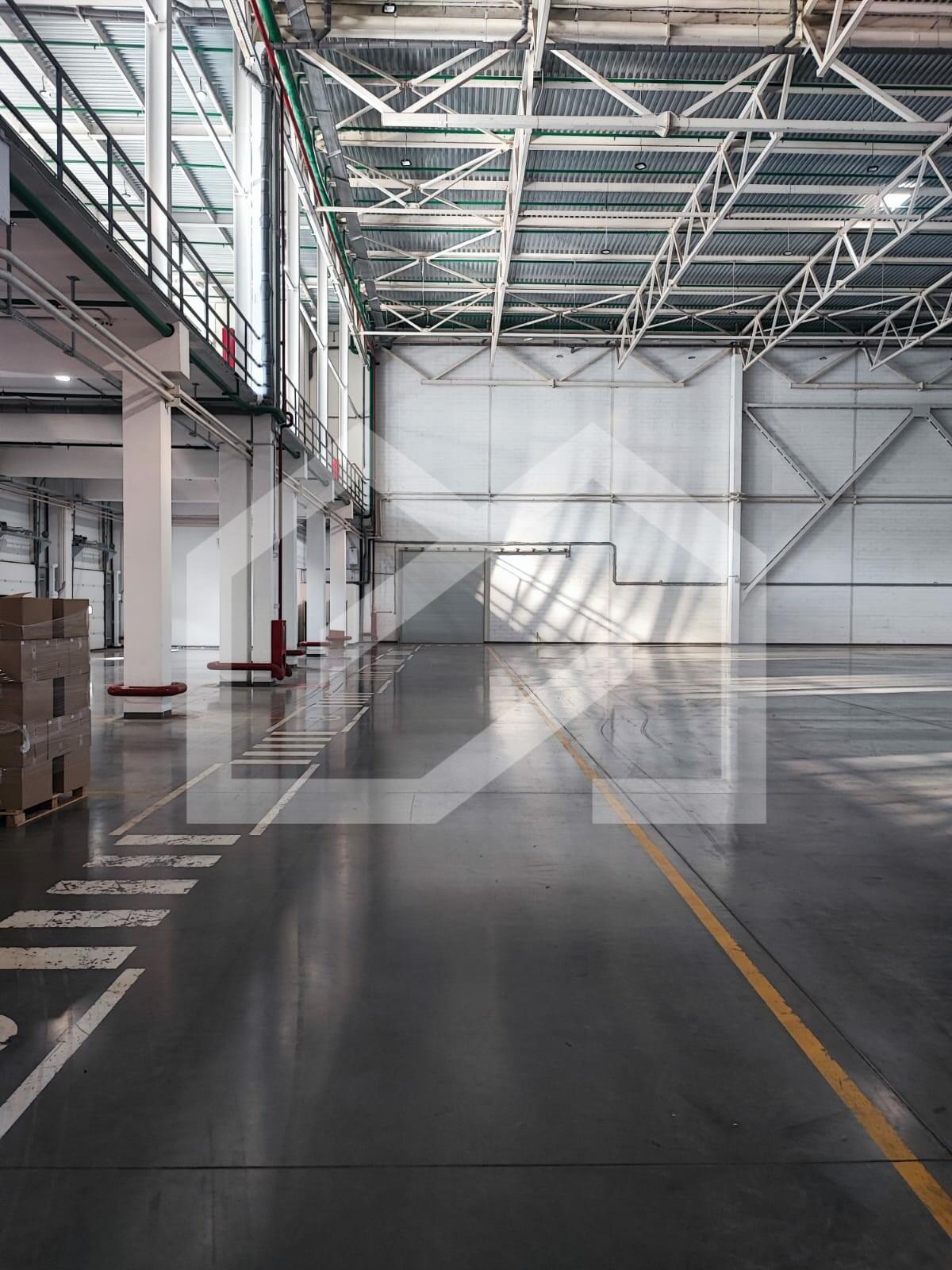 WhatsApp Image 2024-10-16 at 13.15.07 (1).jpeg