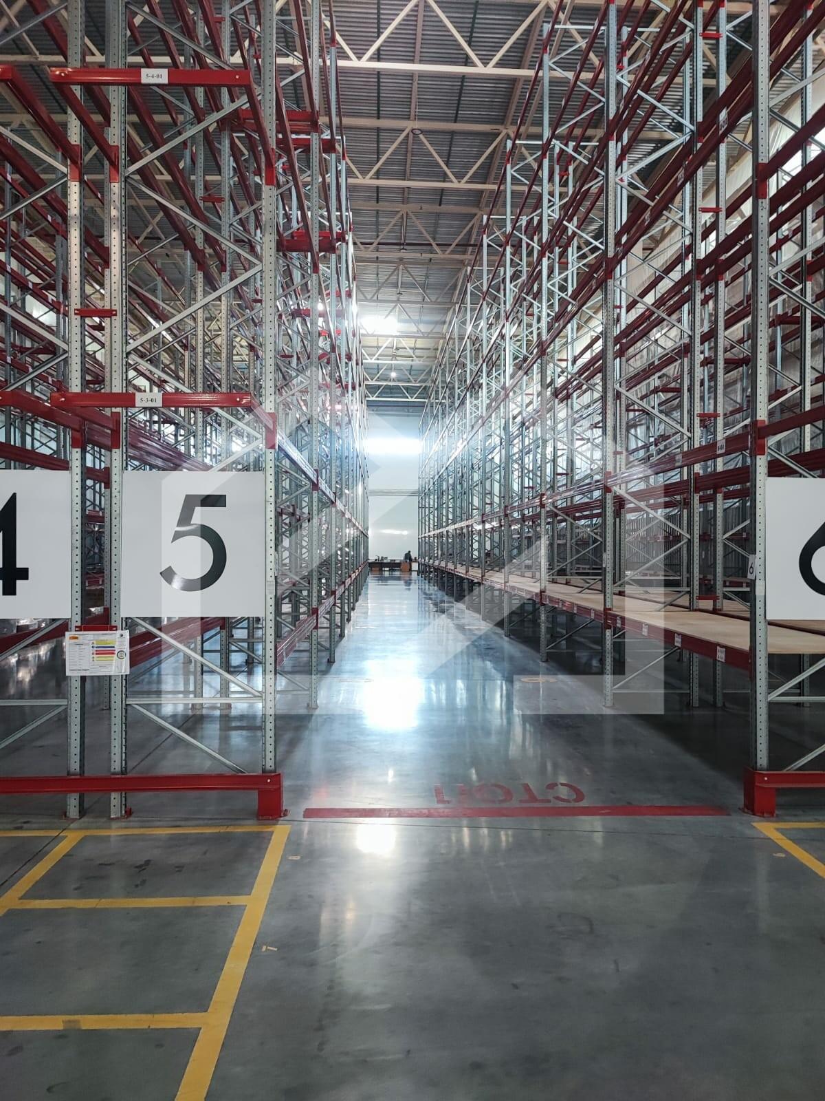 WhatsApp Image 2024-10-16 at 13.14.00.jpeg