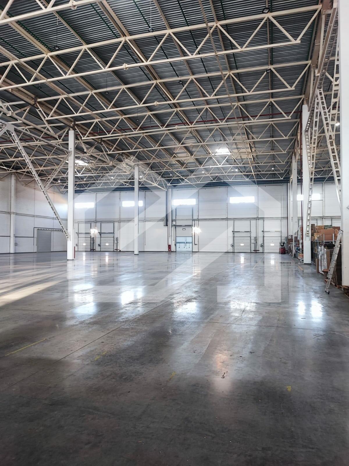 WhatsApp Image 2024-10-16 at 13.15.07.jpeg