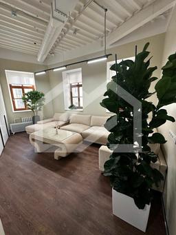 WhatsApp Image 2025-03-25 at 12.41.09.jpeg