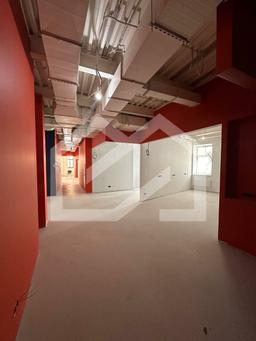 WhatsApp Image 2025-03-25 at 11.52.00.jpeg