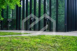 Копия BTW08468-Enhanced-NR.jpeg