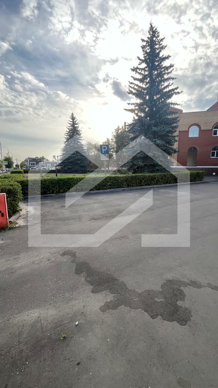 WhatsApp Image 2024-10-24 at 07.30.13 (17).jpeg